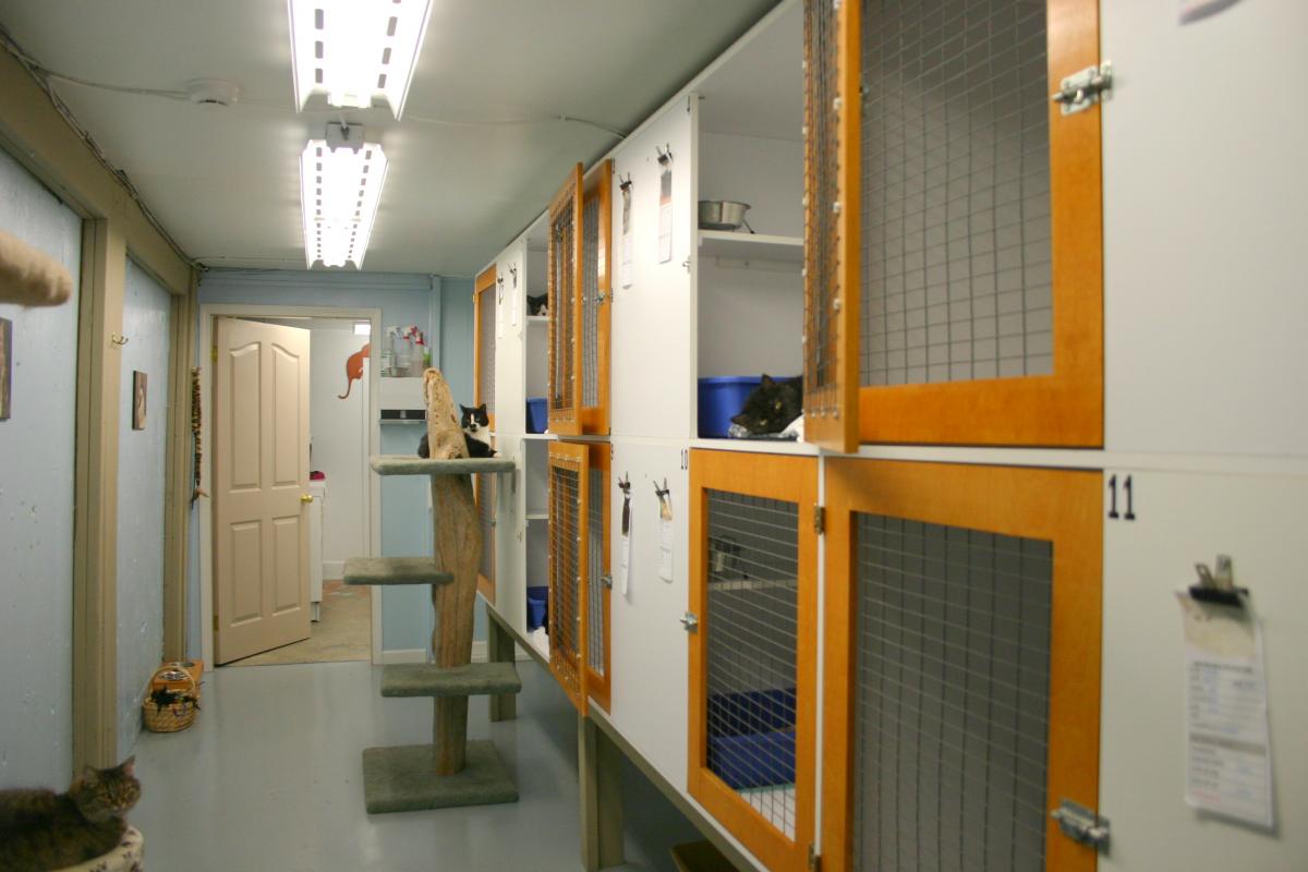 Pound & Adoption Centre Animal Control Services